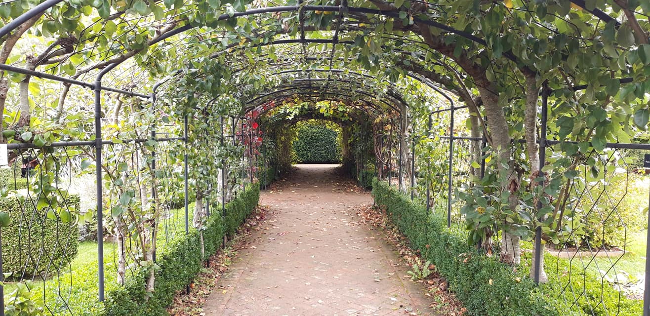 Tessier Gardens & St Marychurch History Society